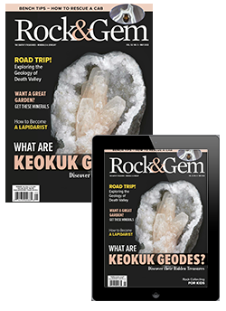 Get A Free Digital Subscription With Print Purchase